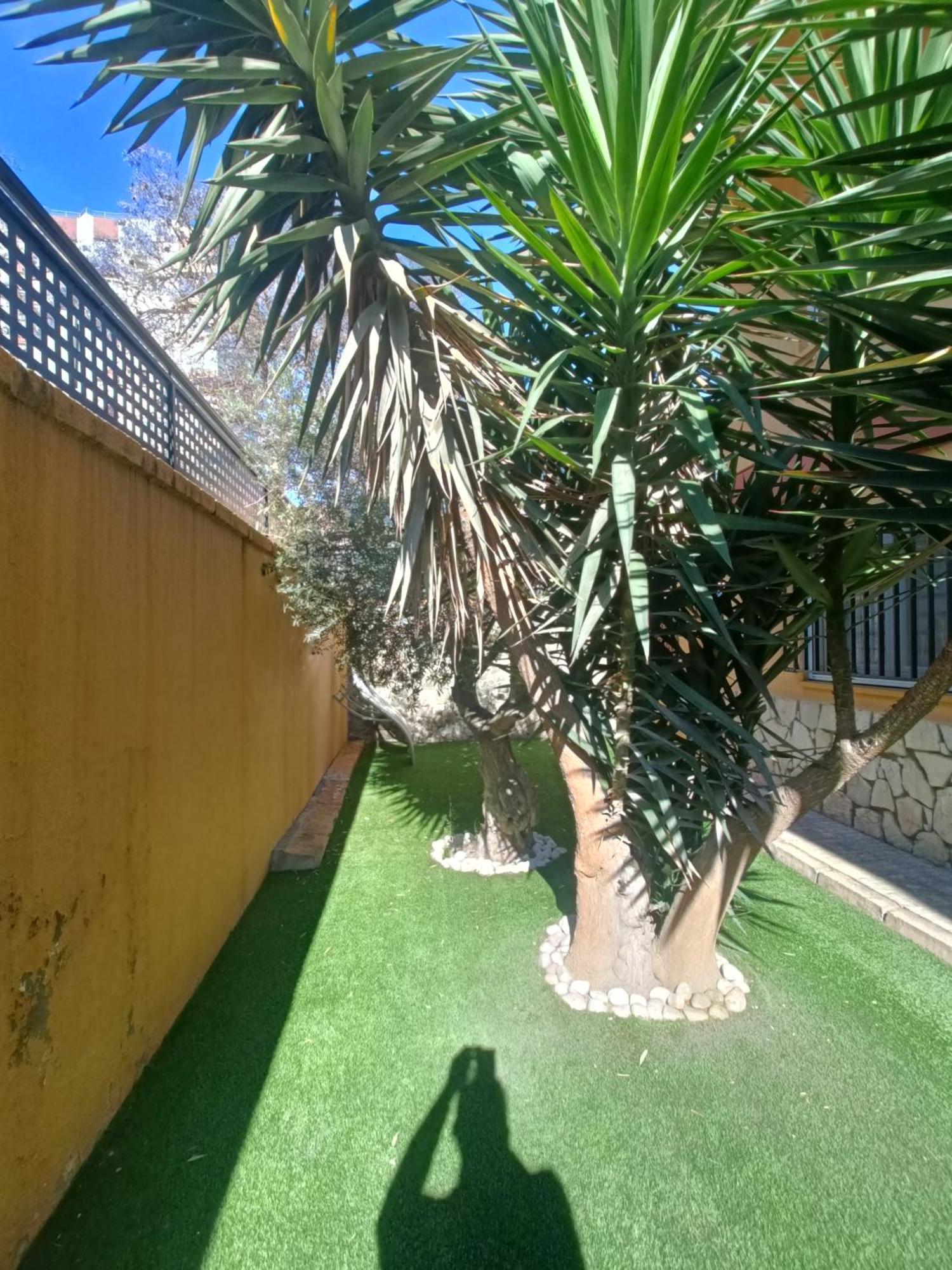 Beach&Garden Malaga Ngoại thất bức ảnh